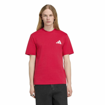Manchester United pánske tričko Seasonal red