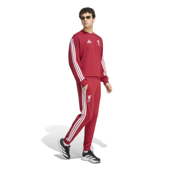 FC Liverpool pánska mikina DNA Sweat red