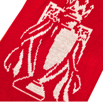 FC Arsenal zimný šál Gold Premier League Champions 25/26