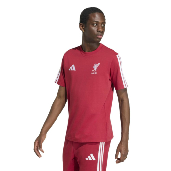FC Liverpool pánske tričko DNA Tee active