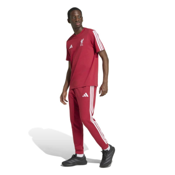 FC Liverpool pánske tričko DNA Tee active