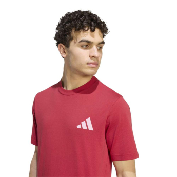 FC Liverpool pánske tričko Seasonal red