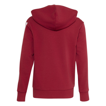 FC Liverpool detská mikina s kapucňou Hoody active
