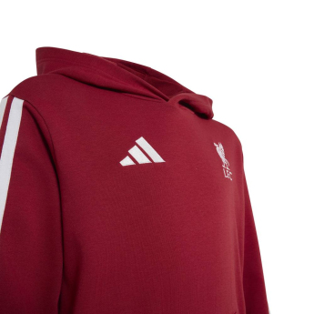 FC Liverpool detská mikina s kapucňou Hoody active