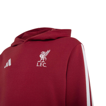 FC Liverpool detská mikina s kapucňou Hoody active