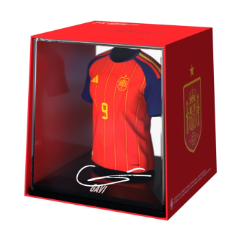 Futbalová reprezentácia Box MyJersey Spain Box MyJersey