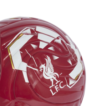 FC Liverpool lopta Club Home