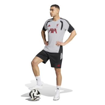 FC Liverpool futbalový dres Tiro grey