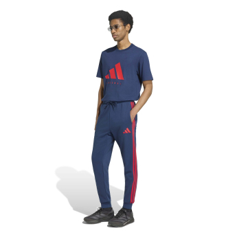 FC Arsenal pánske tričko DNA Graphic navy