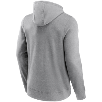 Anaheim Ducks pánska mikina s kapucňou Primary Logo Graphic Hoodie grey