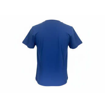 Toronto Maple Leafs detské tričko Divide Ss Ctn Tee