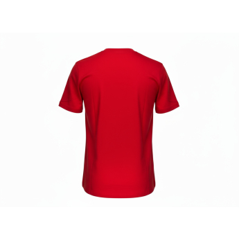 Detroit Red Wings detské tričko Apro Wordmark Ss Ctn Tee