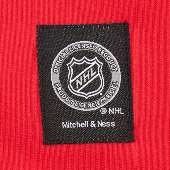 Florida Panthers pánska mikina s kapucňou Retro Fleece Current Logo