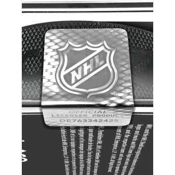Florida Panthers puk Official Game Puck 2024-2025