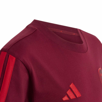 Dětské tričko ARSENAL FC Tee bugundy