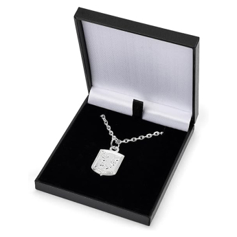 Aston Villa retiazka na krk s príveskom Silver Plated Boxed Pendant CR
