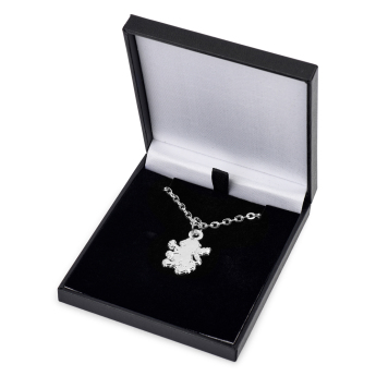 Aston Villa retiazka na krk s príveskom Silver Plated Boxed Pendant LN