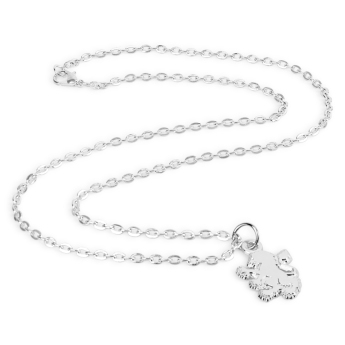 Aston Villa retiazka na krk s príveskom Silver Plated Boxed Pendant LN
