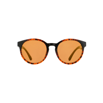 Red Bull Racing slnečné okuliare EVER brown-black with brown lenses