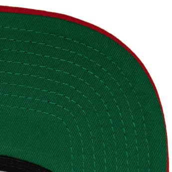 Washington Capitals čiapka flat šiltovka NHL Team 2 Tone 2.0 Pro Snapback