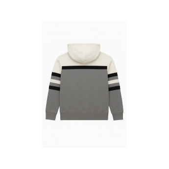 Chicago Blackhawks pánska mikina s kapucňou Head Coach Hoodie Current Logo grey