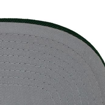 Minnesota Wild čiapka baseballová šiltovka Tailsweeps Pro Snapback