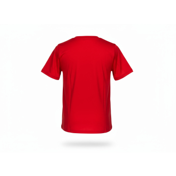 Chicago Blackhawks detské tričko Apro Wordmark Ss Ctn Tee red