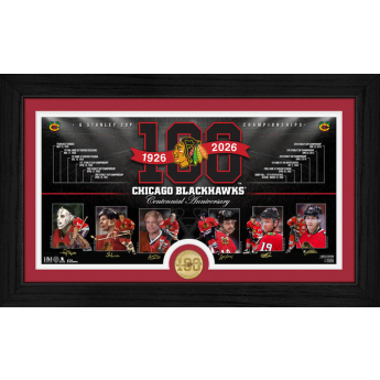 Chicago Blackhawks zberateľská plaketa 100th bronze coin Timeline photo mint