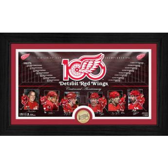 Detroit Red Wings zberateľská plaketa 100th bronze coin Timeline photo mint
