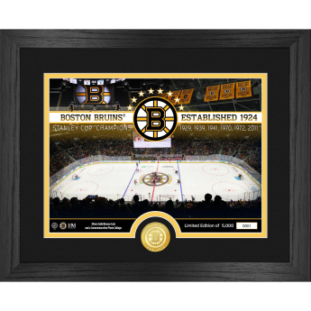 Boston Bruins plagát NHL Team Rink Photo Bronze Coin Photo Mint