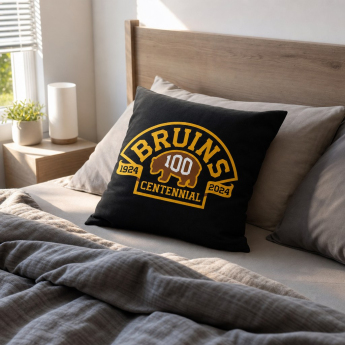 Boston Bruins vankúšik Centennial