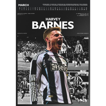 Newcastle United kalendár Deluxe 2027