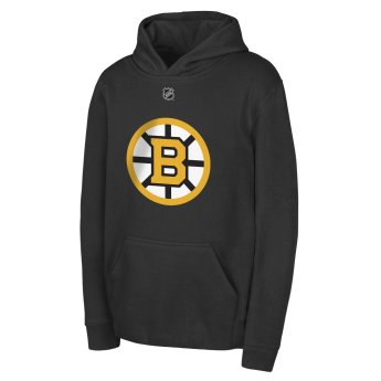 Boston Bruins detská mikina s kapucňou David Pastrnak #88 NHL Flat Name & Number Fleece