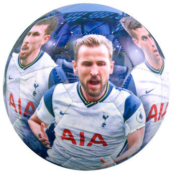 Tottenham futbalová lopta players photo football
