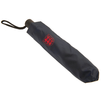 Futbalová reprezentácia dáždnik Automatic Umbrella
