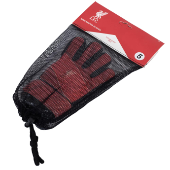 FC Liverpool detské brankárske rukavice Fuse Goalkeeper Gloves Kids 67-73mm palm width