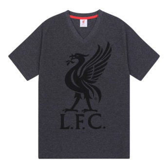 FC Liverpool pánske pyžamo SLab grey