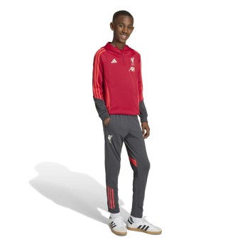 FC Liverpool detská mikina s kapucňou Track red