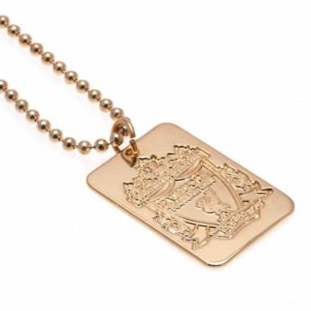 FC Liverpool retiazka na krk s psou známkou Gold Plated Dog Tag & Chain
