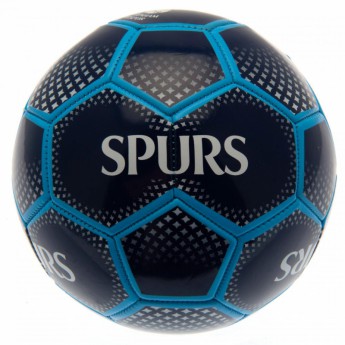 Tottenham futbalová lopta Football DM