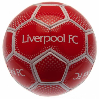 FC Liverpool futbalová lopta Football DM