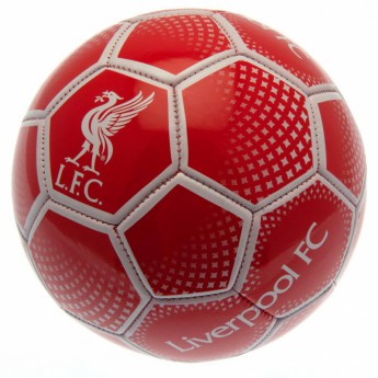 FC Liverpool futbalová lopta Football DM
