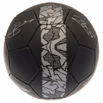Tottenham futbalová lopta Football Signature PH - size 5