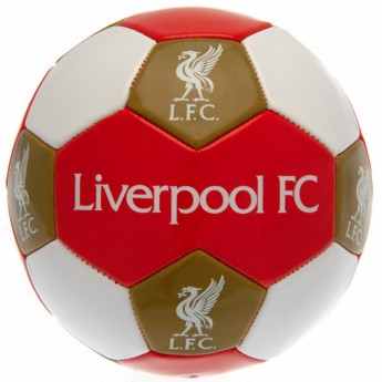 FC Liverpool futbalová lopta Football - size 3