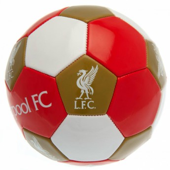 FC Liverpool futbalová lopta Football - size 3